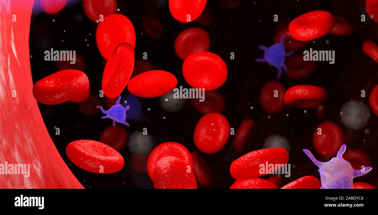 3D Rendering accurato dal punto di vista medico illustrazione del sangue umano Foto Stock