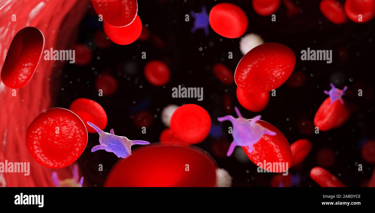 3D Rendering accurato dal punto di vista medico illustrazione del sangue umano Foto Stock