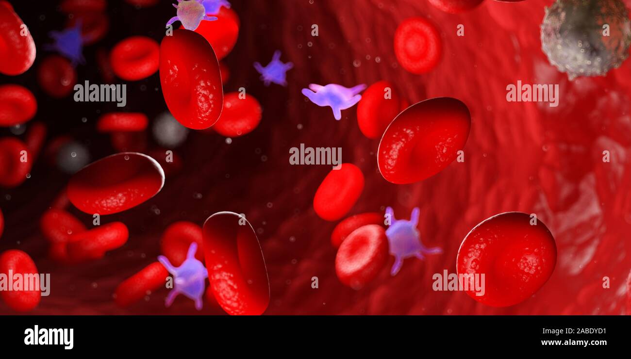 3D Rendering accurato dal punto di vista medico illustrazione del sangue umano Foto Stock