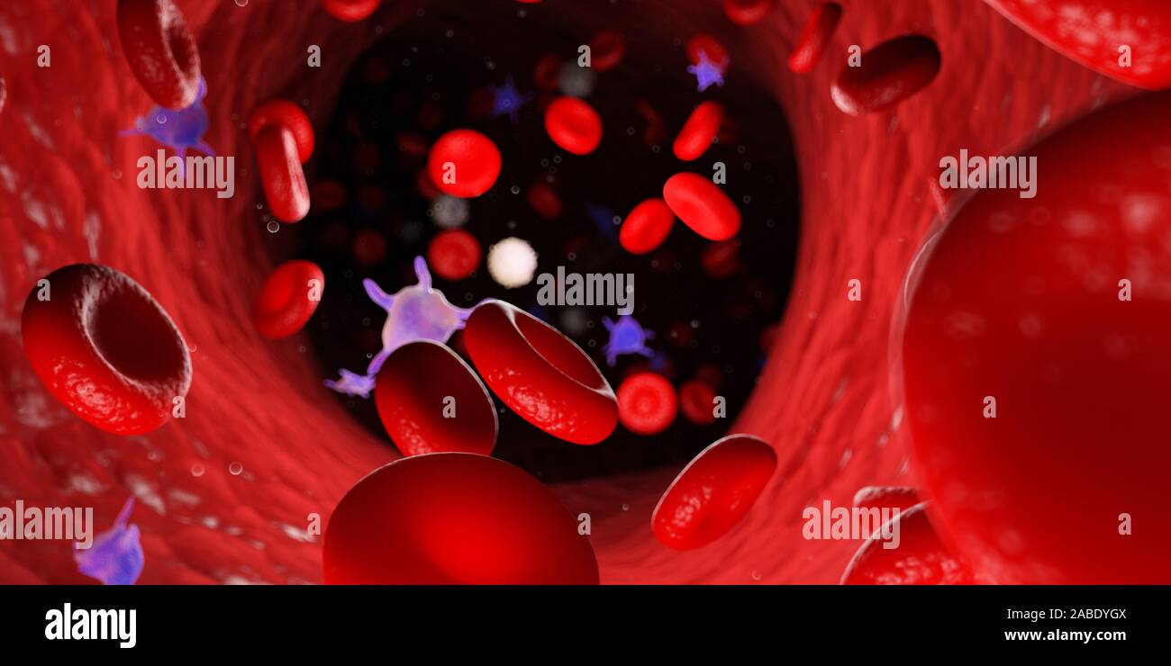 3D Rendering accurato dal punto di vista medico illustrazione del sangue umano Foto Stock