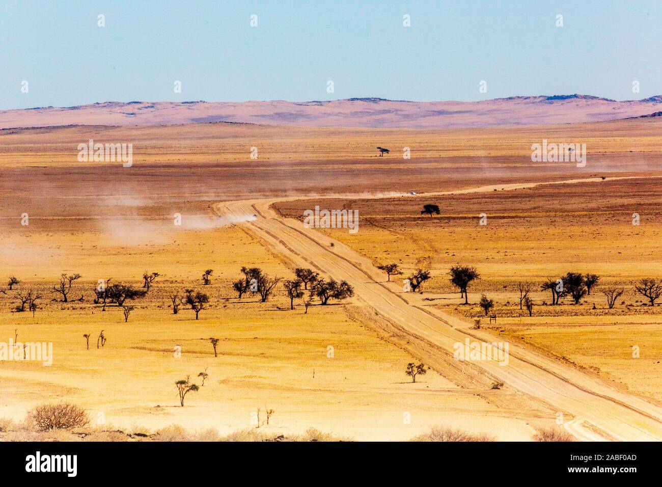 Paesaggio della Namibia, Africa Foto Stock