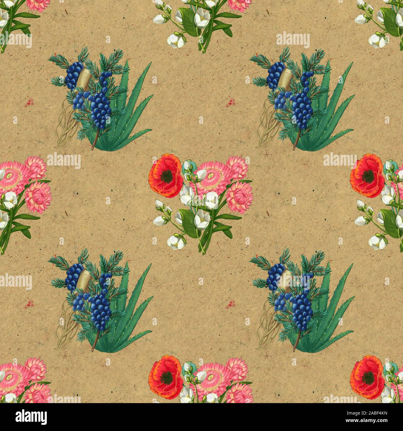 Botanical drawing juniper plant immagini e fotografie stock ad alta ...