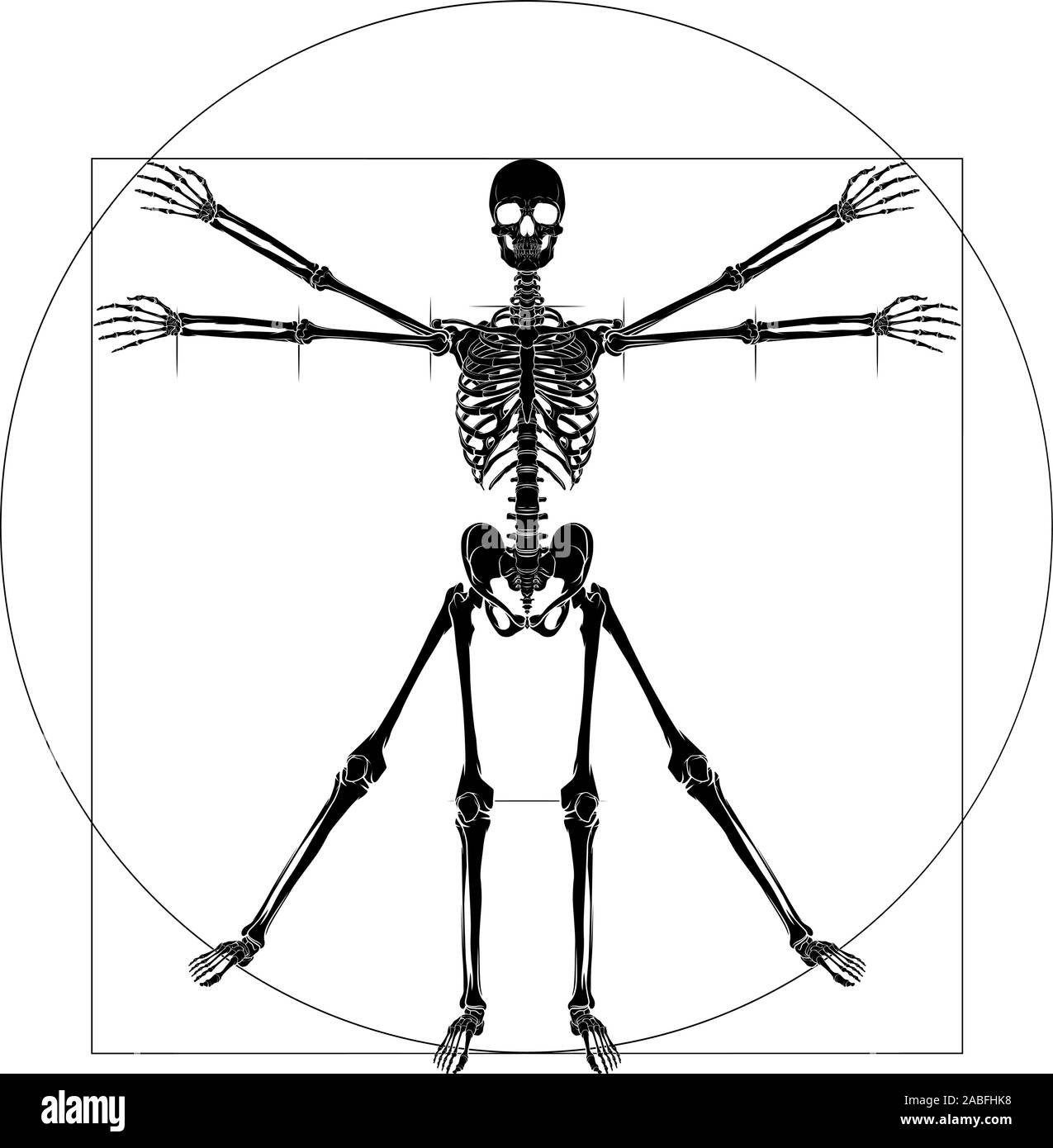 Da Vinci Uomo Vitruviano scheletro Illustrazione Vettoriale