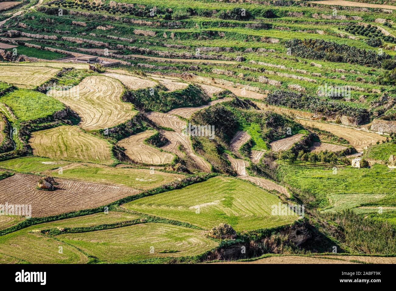 Recentemente arare i campi terrazzati vicino a Ghasri sull'isola di Gozo, Malta. Una tipica vista su questo paesaggio roccioso. Foto Stock