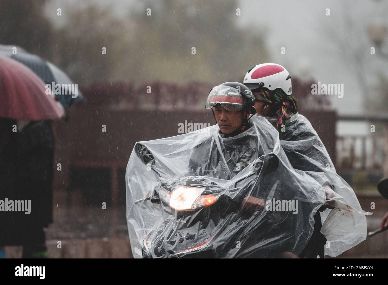 Due uomini asiatici a cavallo di uno scooter sotto la pioggia - Sapa, il Vietnam del Nord, Asia Foto Stock