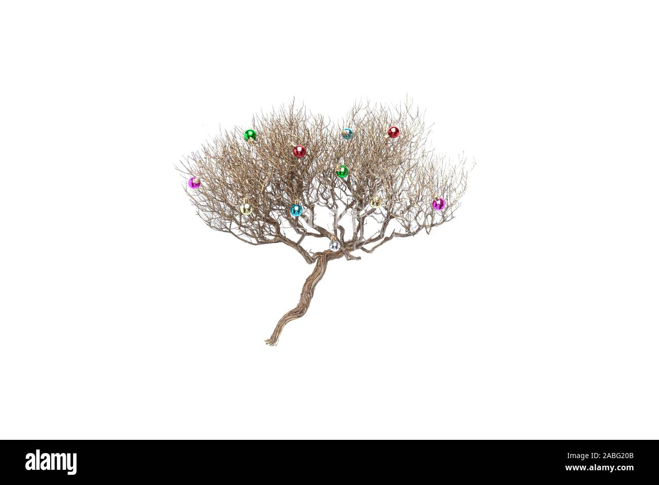 Ramo secco della bussola naturale è decorato con piccole colorate palle di  Natale Foto stock - Alamy