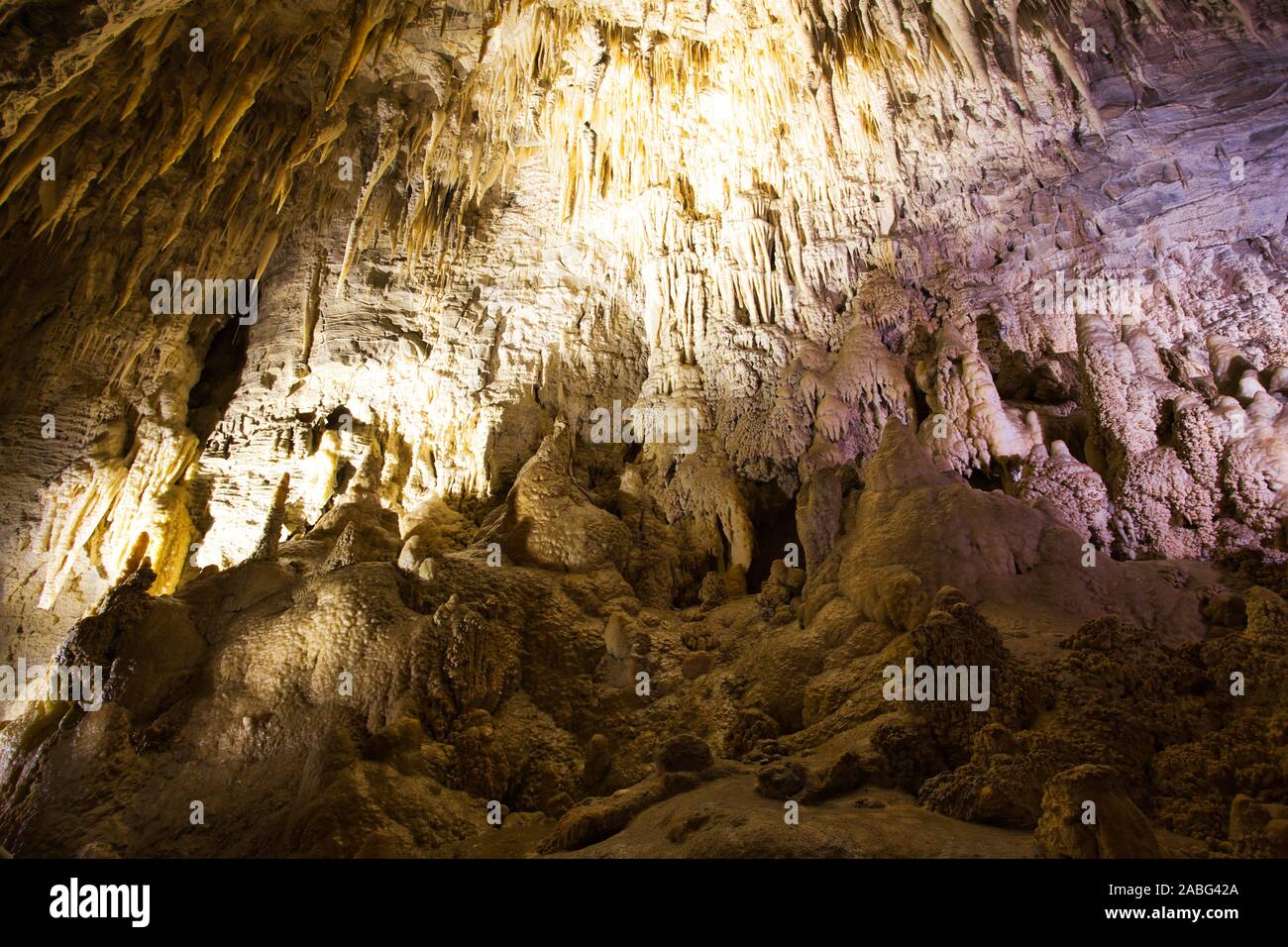 Stalattiti e stalagmiti in caverna di Ruakuri, Waitomo, Nuova Zelanda Foto Stock