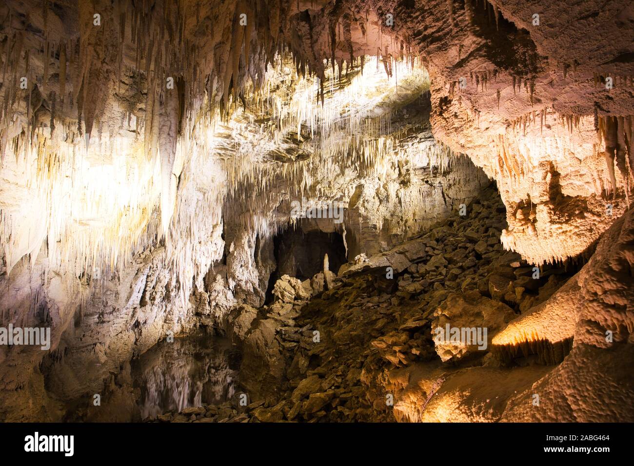 Stalattiti e stalagmiti in caverna di Ruakuri, Waitomo, Nuova Zelanda Foto Stock