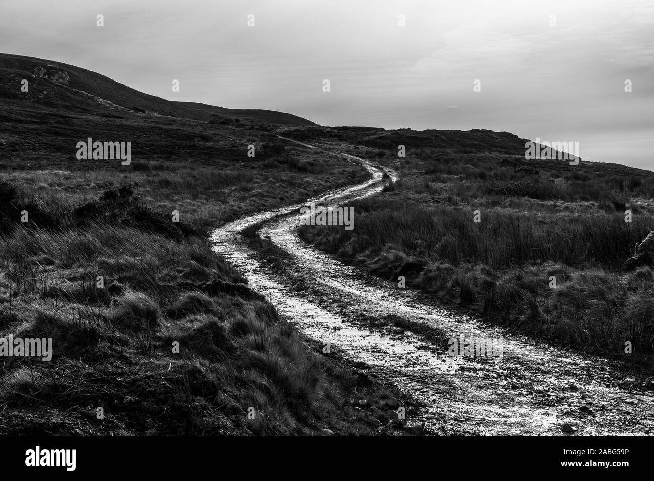 La curva S, pista di montagna Foto Stock
