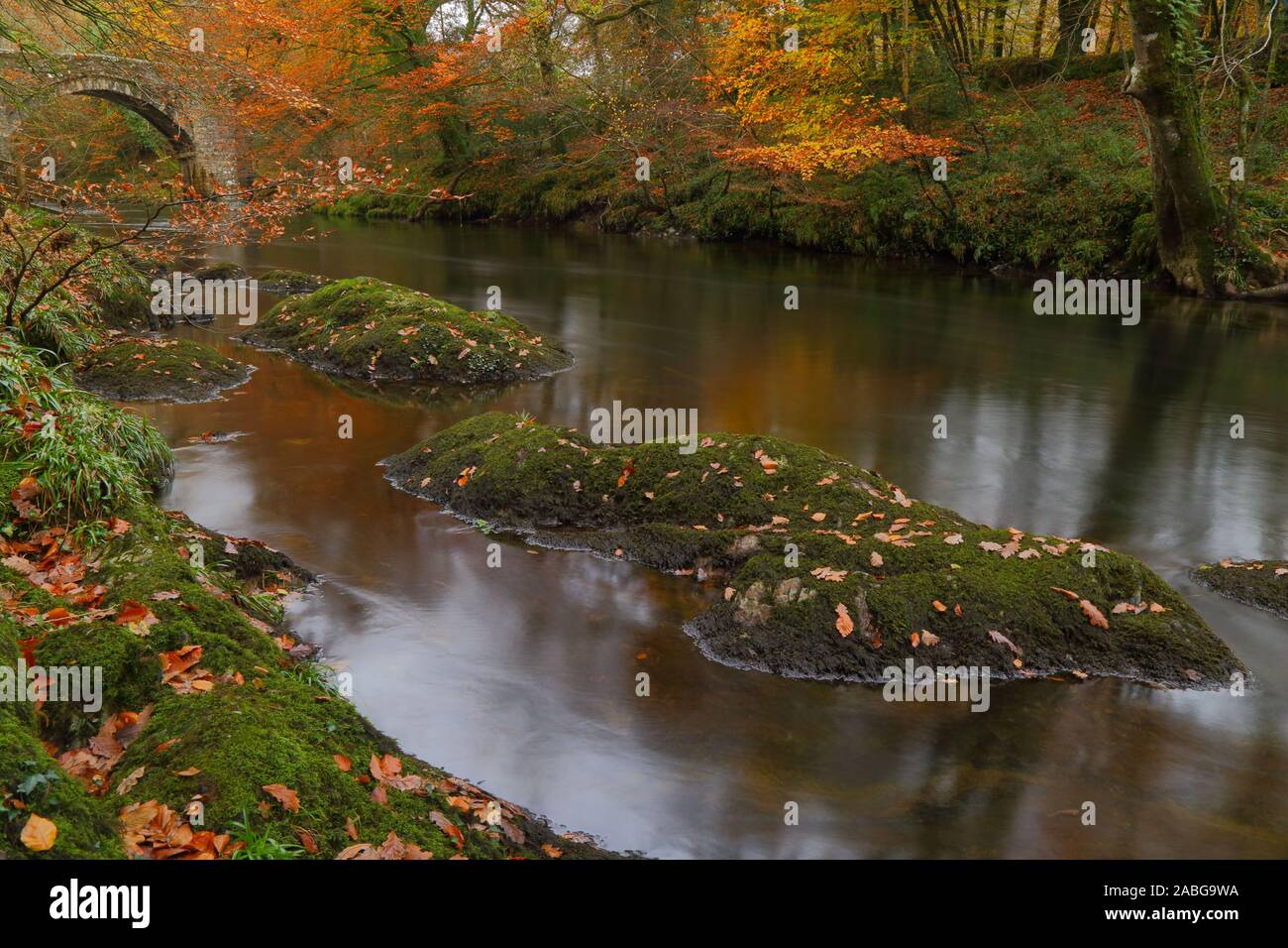 Fiume Dart vicino a Newbridge in autunno. Parco Nazionale di Dartmoor in Devon Foto Stock