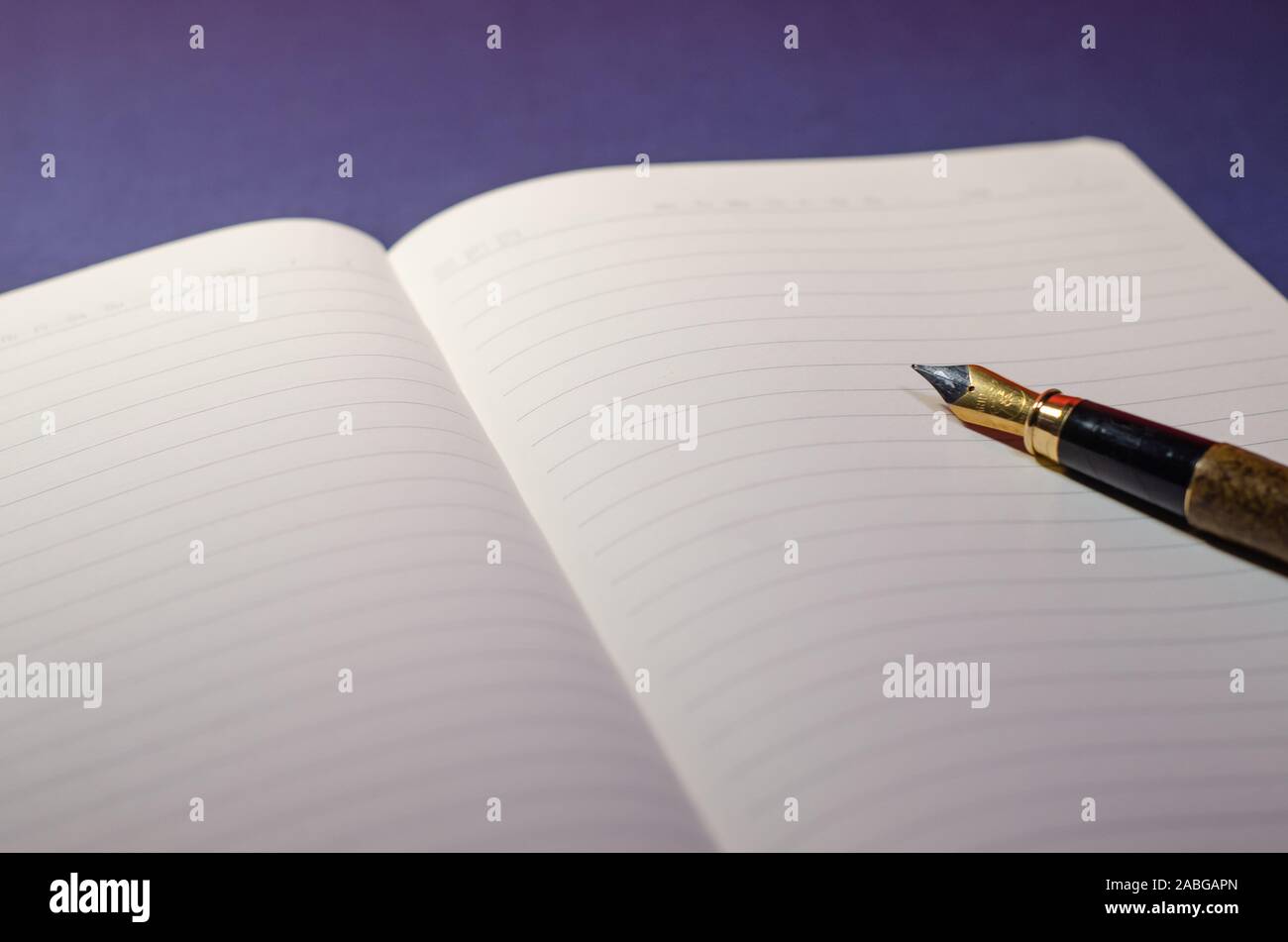 Vista ravvicinata della punta di una penna che scrive su un ordine del giorno aperto o notebook con pagine vuote. Scrittura su carta con inchiostro di penna. Superficie blu, sfondo o deskt Foto Stock