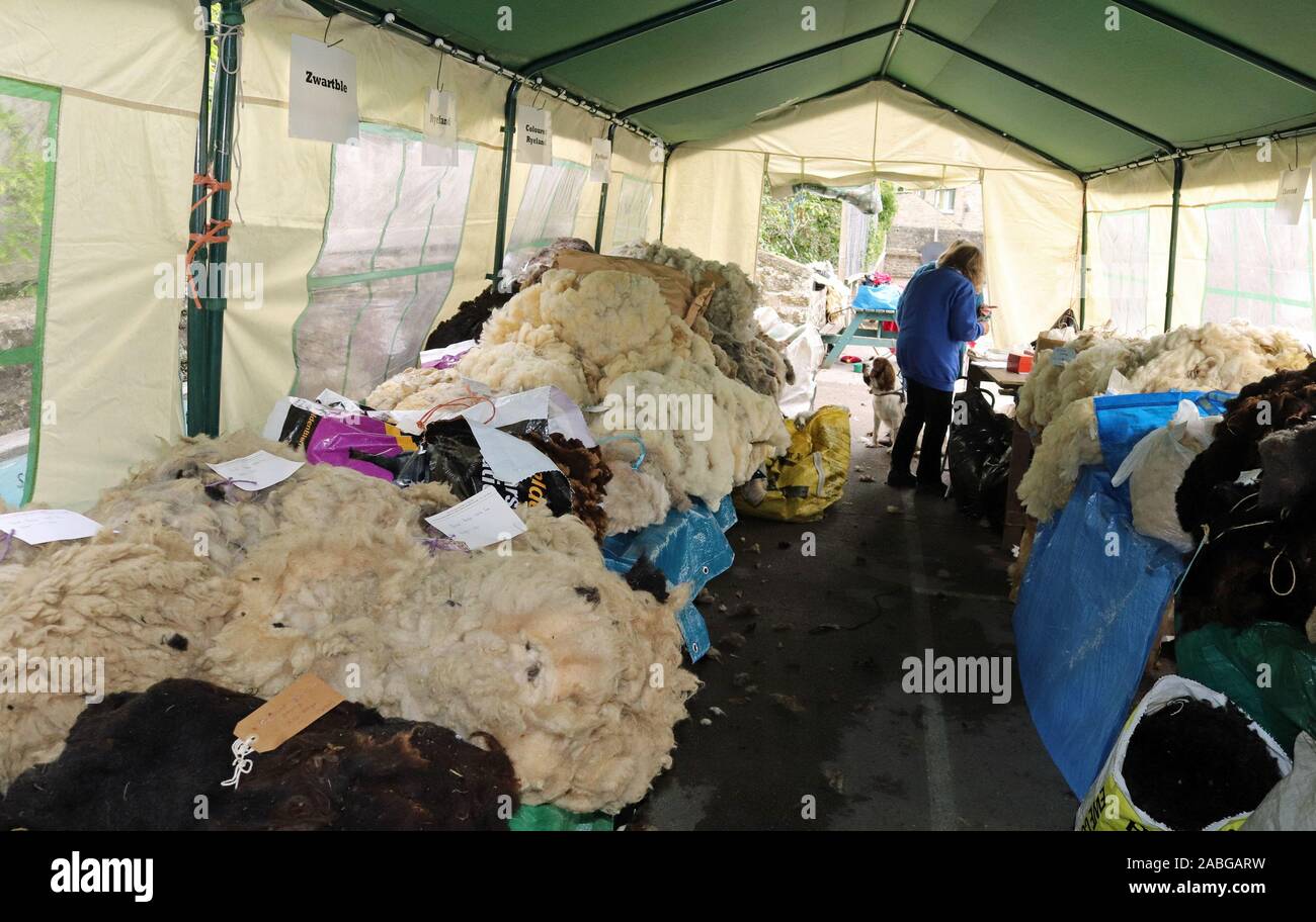 Il vello di pecora per la vendita nel vello tenda nel cortile della scuola a Masham ovini fiera. Questi sono il vello che recentemente è stata tagliata dalla pecora. Foto Stock