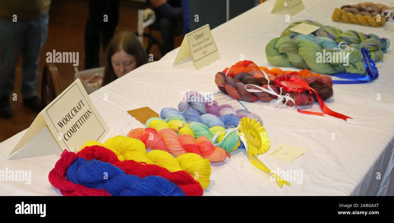 A Masham pecore equo nel Yorkshire Dales voci colorate in lana concorso di artigianato sono visualizzati nella hall principale nel Masham Town Hall Foto Stock
