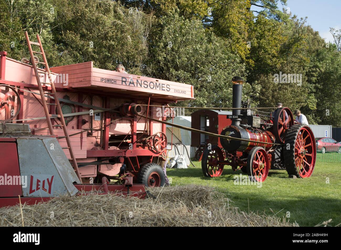 Weald e scaricare il museo mostra d'autunno 2019 Foto Stock