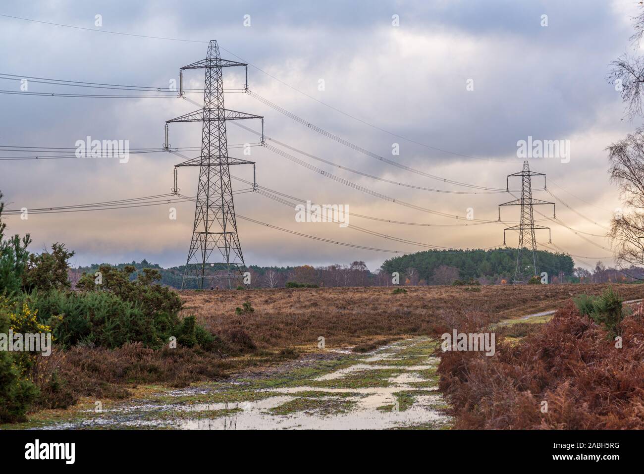 National Grid tralicci e linee di alimentazione che attraversa la foresta di nuovo a Hale Purlieu vicino a Fordingbridge, Hampshire, Regno Unito Foto Stock