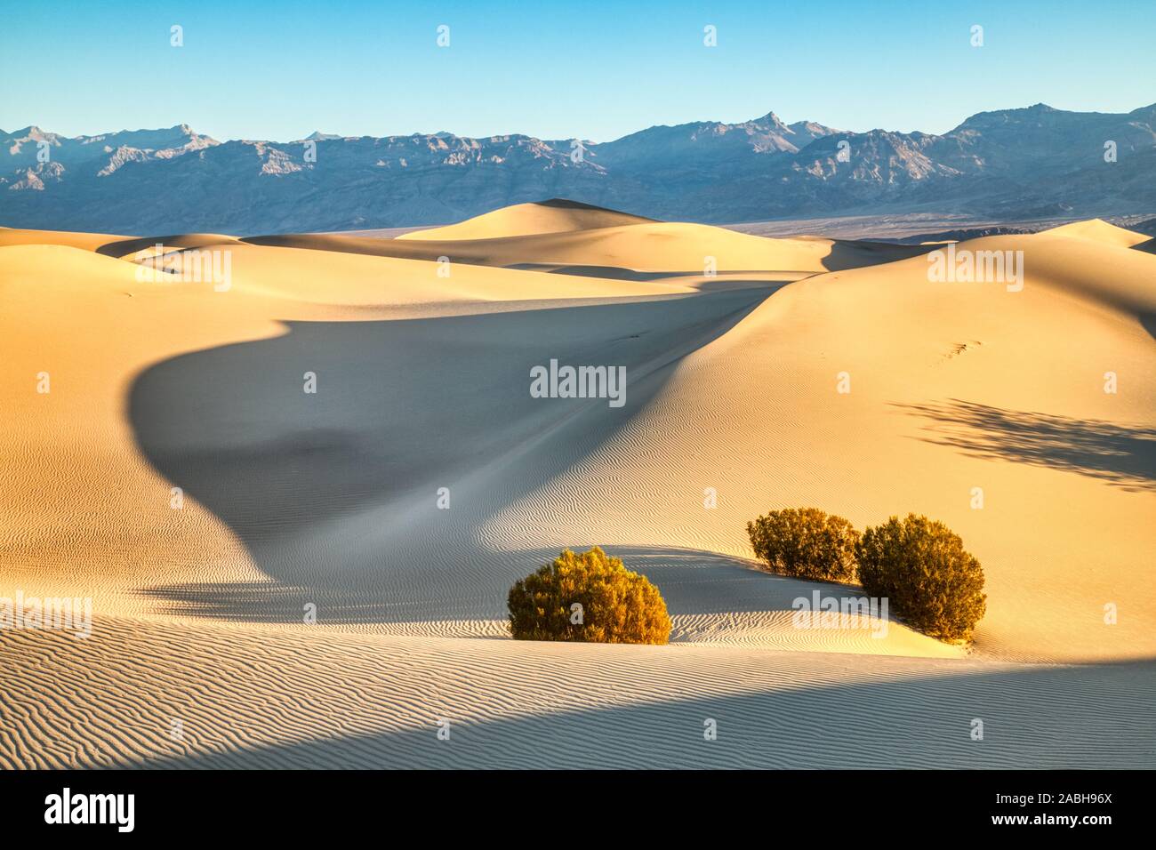 Mesquite dune nella morte del Parco Nazionale di Sunrise, California Foto Stock