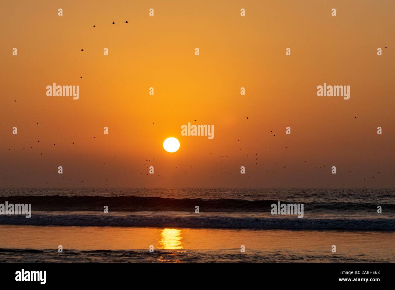 Tramonto sull'Oceano Atlantico con stormi di uccelli di silhouette, Agadir, Marocco Foto Stock