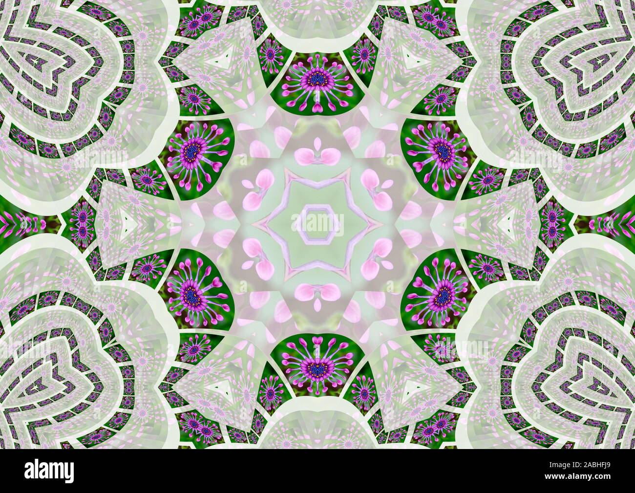 Mandala meditazioni - whirligig daisy Foto Stock