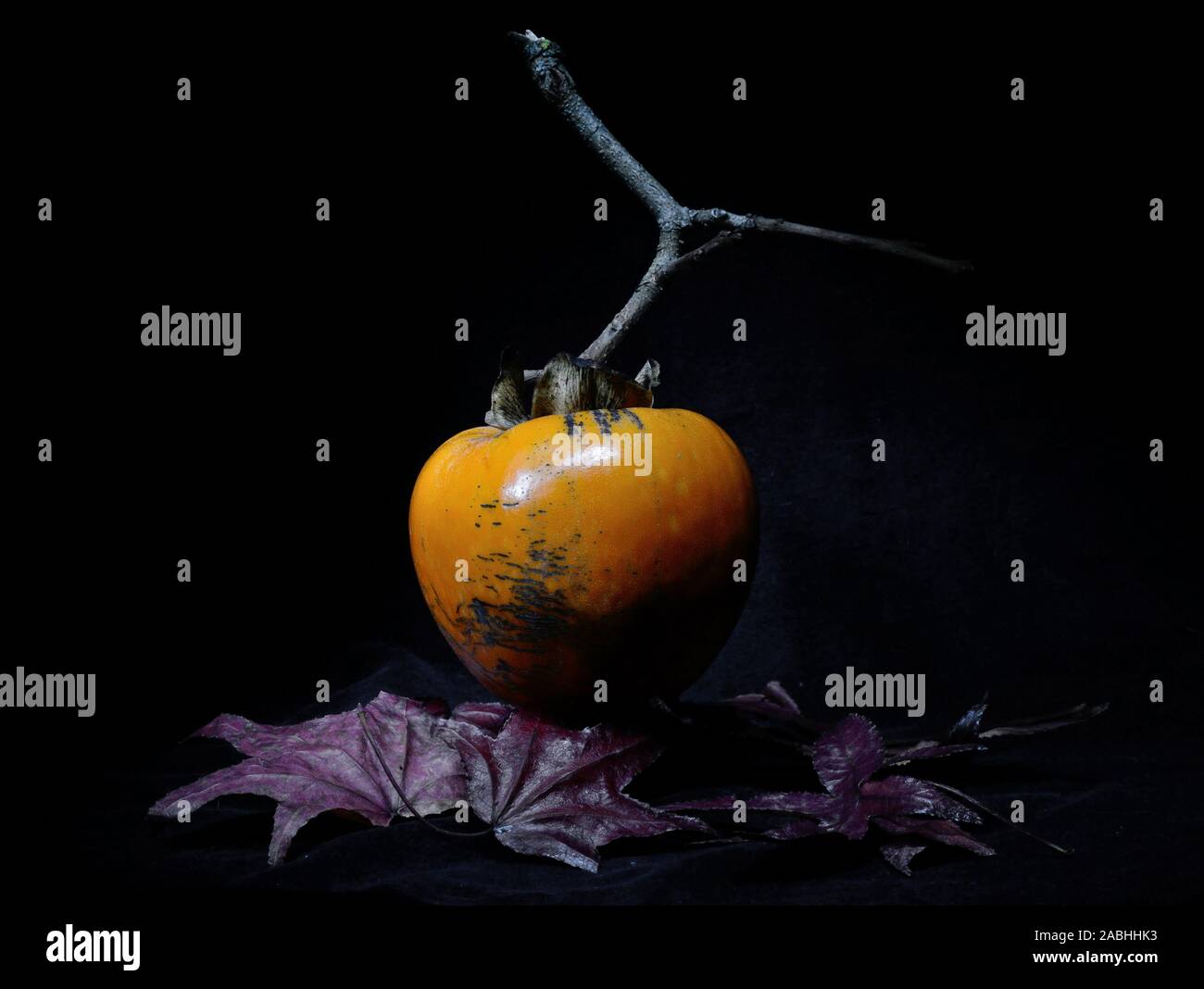 Primo piano di una persimmon sulla foglia di acero contro uno sfondo nero Foto Stock