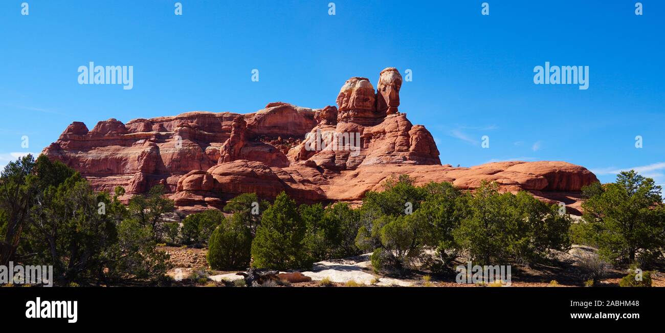 L'unico e colorato in arenaria scolpita formazioni rocciose del Parco Nazionale di Canyonlands Foto Stock
