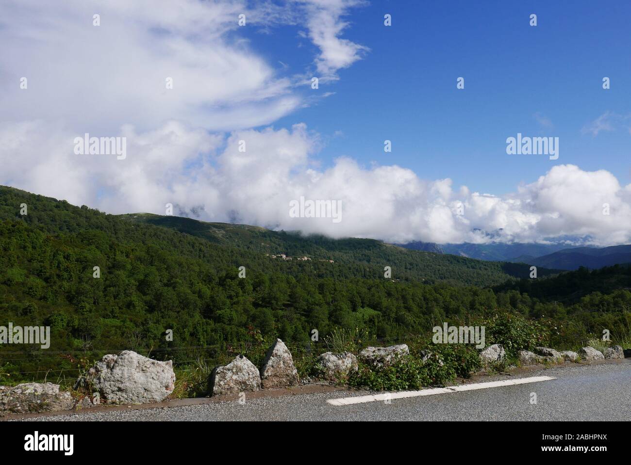 Vacanze sull'isola di bellezza, nel sud della Corsica. Passeggiata in montagna con suini selvatici nelle vicinanze Foto Stock