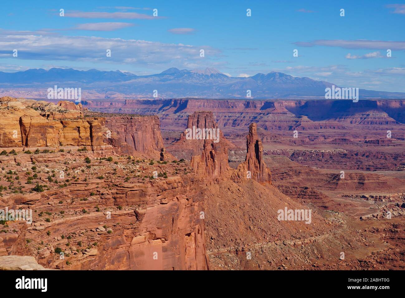 Esaminando la espansiva di Red Rock Canyon del Parco Nazionale di Canyonlands con montagne coperte di neve in background. Foto Stock