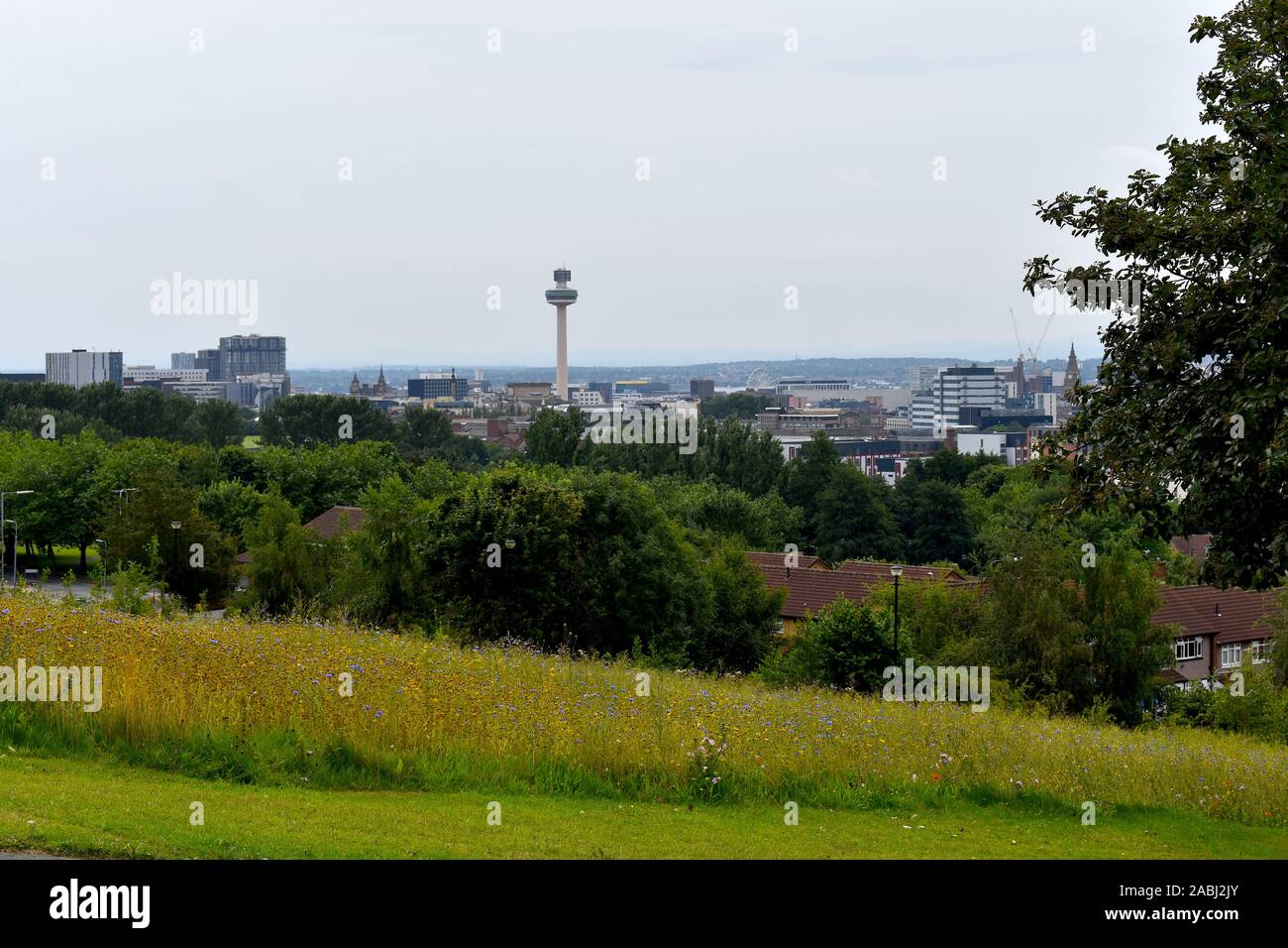 Liverpool City vista da una verde collina di Everton parco con fiori selvatici in piena fioritura.Gli edifici industriali, torre della radio, orologio da torre a sfondo Foto Stock