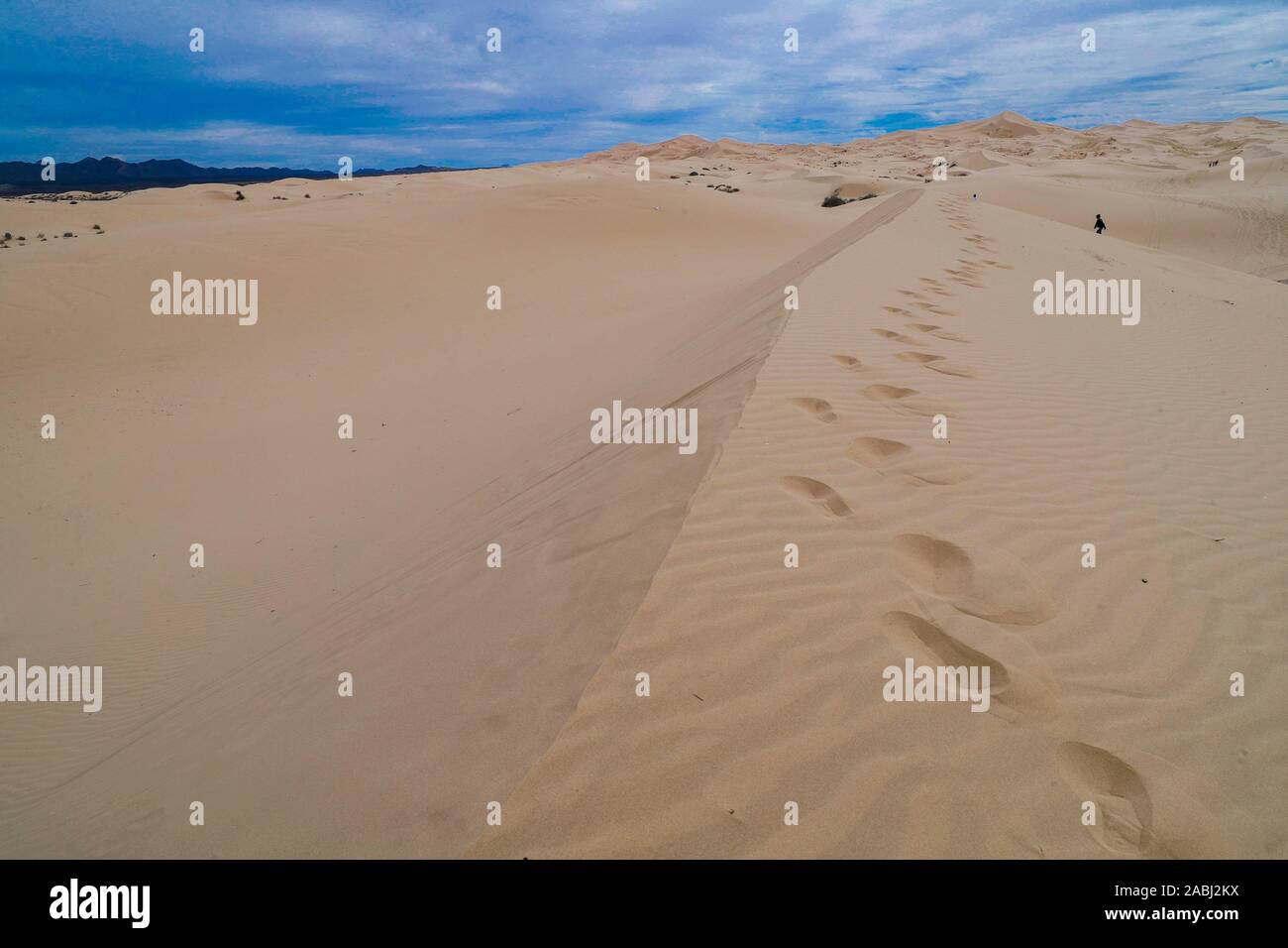 Le dune di sabbia del deserto Samalayuca, Chihuahua in Messico. 52 km a sud di Ciudad Juárez nel mezzo del deserto area conosciuta come il Médanos de Samalayuc Foto Stock