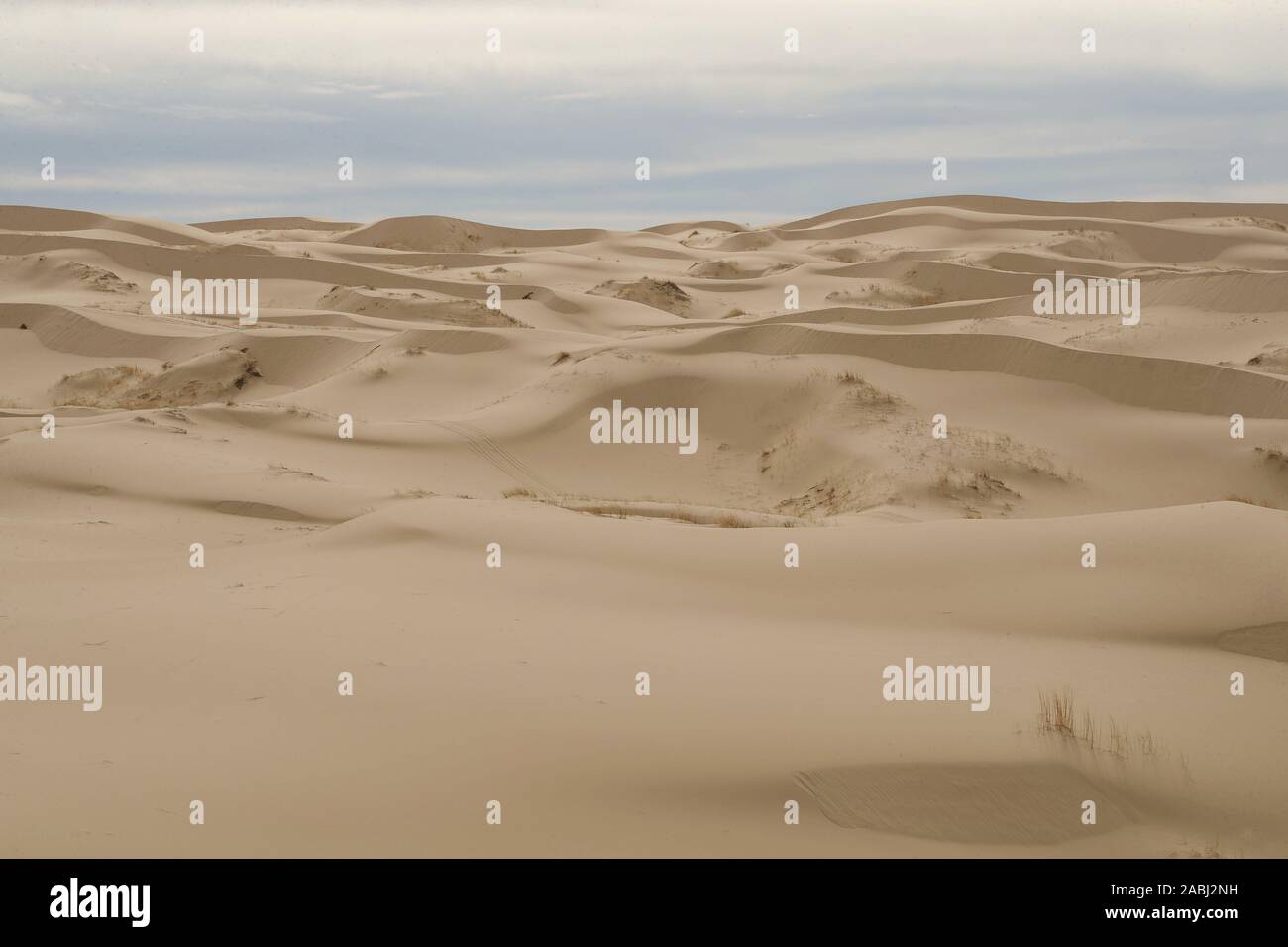 Le dune di sabbia del deserto Samalayuca, Chihuahua in Messico. 52 km a sud di Ciudad Juárez nel mezzo del deserto area conosciuta come il Médanos de Samalayuc Foto Stock
