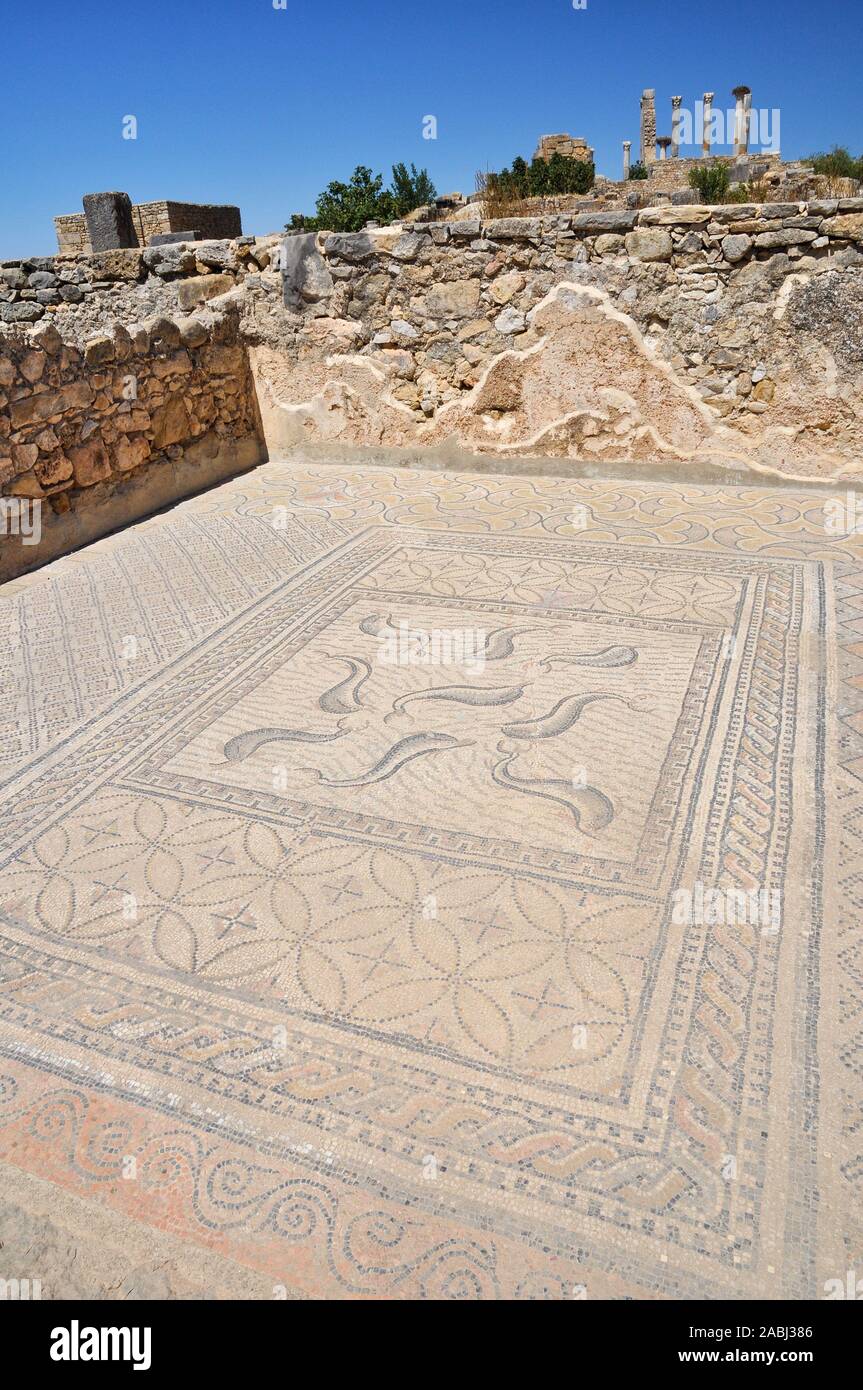 Mosaici romani con i delfini e motivi geometrici in casa di Orfeo nella Volubilis sito archeologico (Walili, Meknes, Fès-Meknès, Marocco) Foto Stock