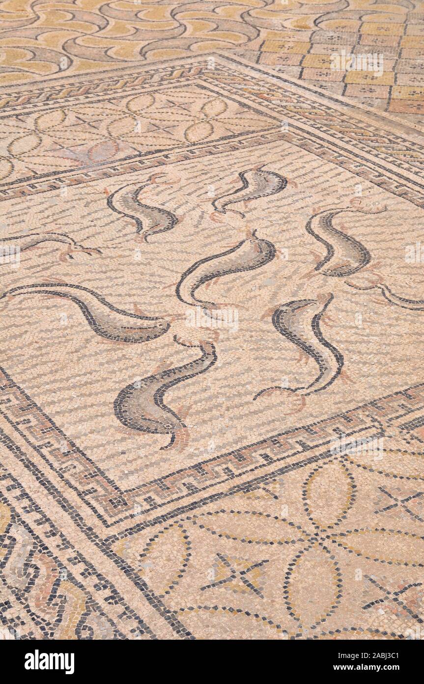 Mosaici romani con i delfini nella casa di Orfeo nella città romana rovine di Volubilis sito archeologico (Walili, Meknes, Fès-Meknès, Marocco) Foto Stock
