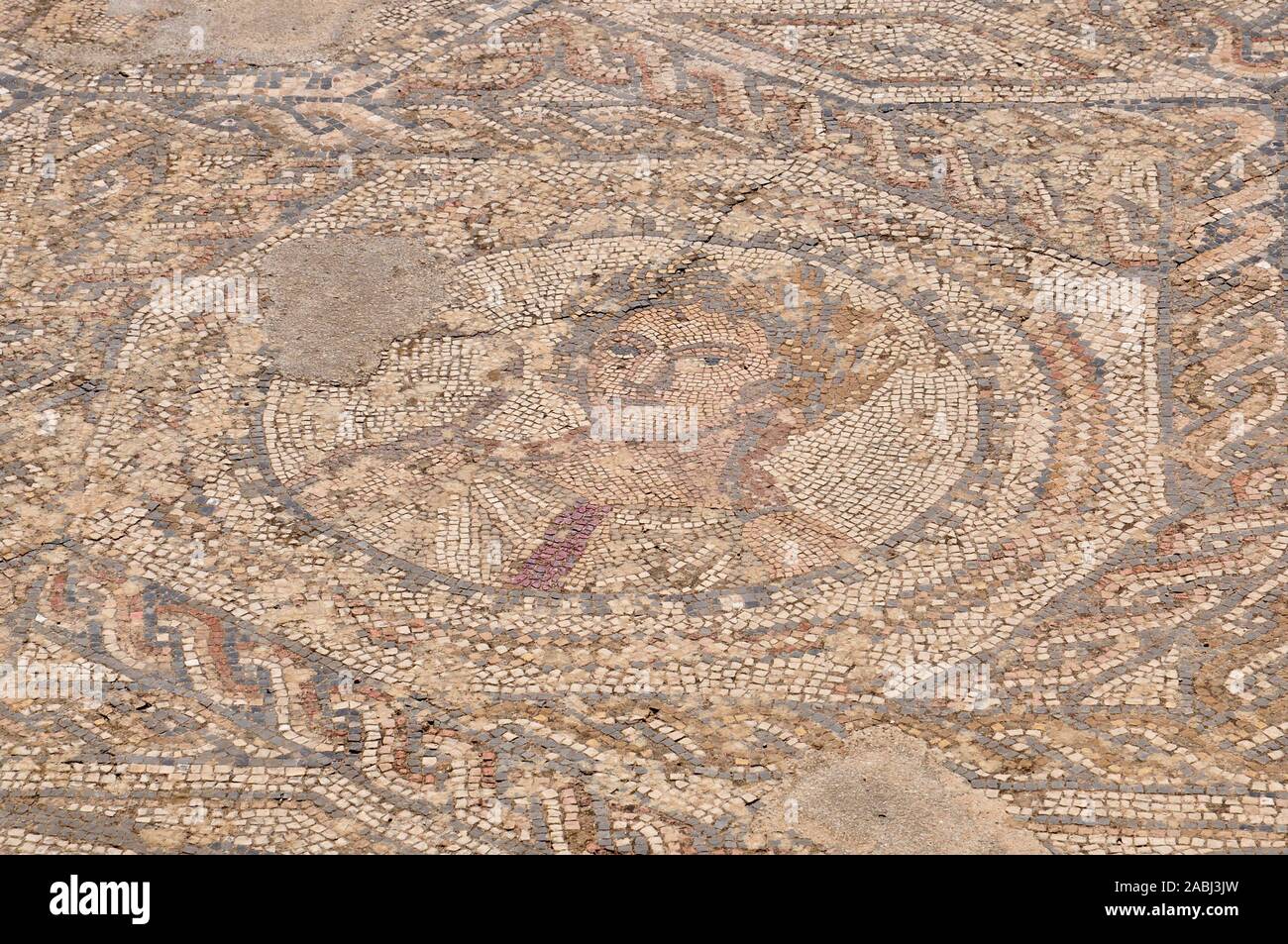 Antico mosaico romano con una laureated volto umano nel III secolo A.C. la città romana rovine di Volubilis sito archeologico (Meknes, Fès-Meknès, Marocco) Foto Stock