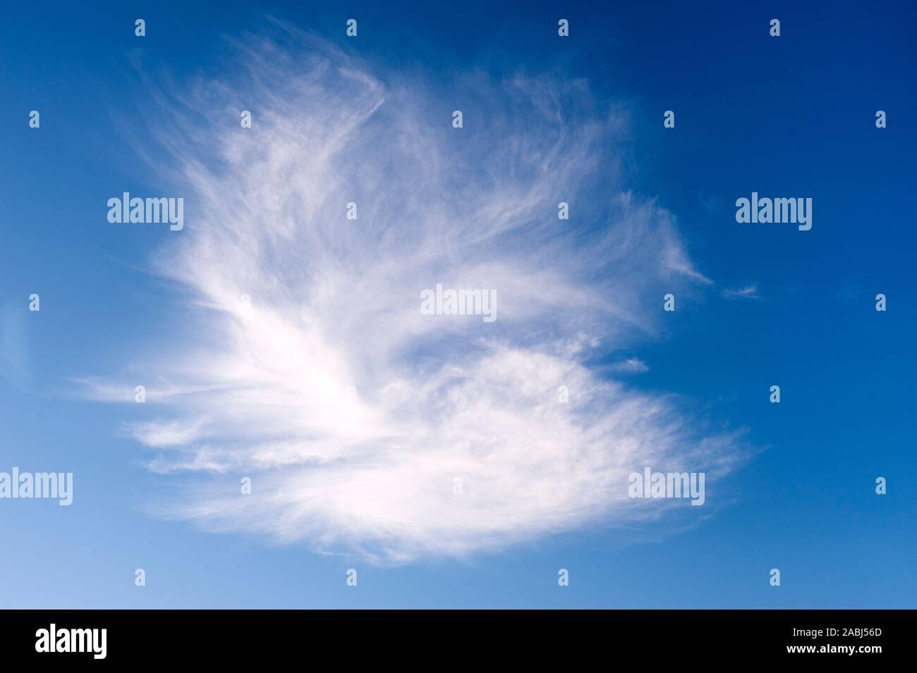 Cirrus nubi in forme di volo di uccelli nel cielo blu. Foto Stock