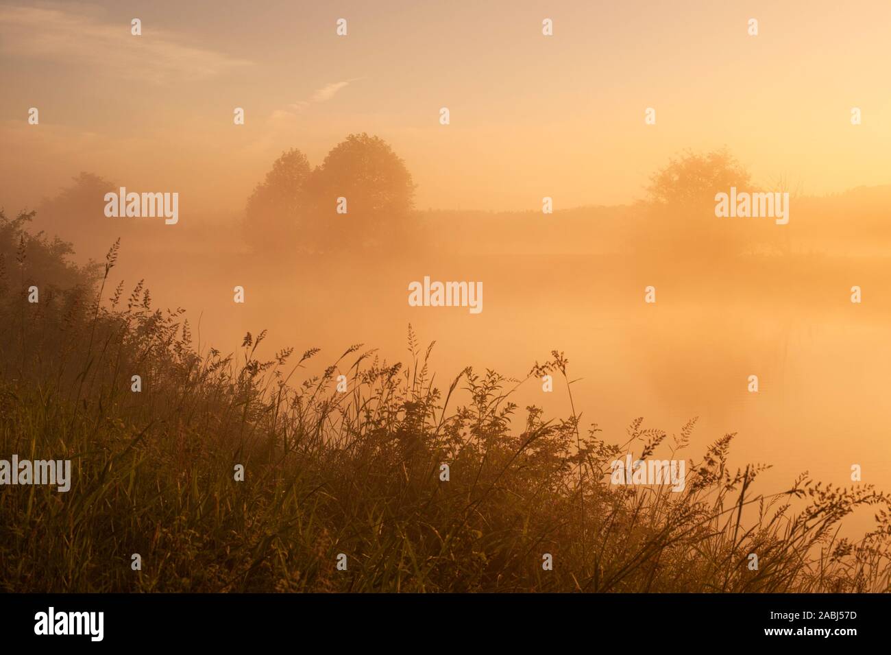 Snohomish Valley sunrise nella nebbia con riflessi nel fiume calmo con erba alta Foto Stock