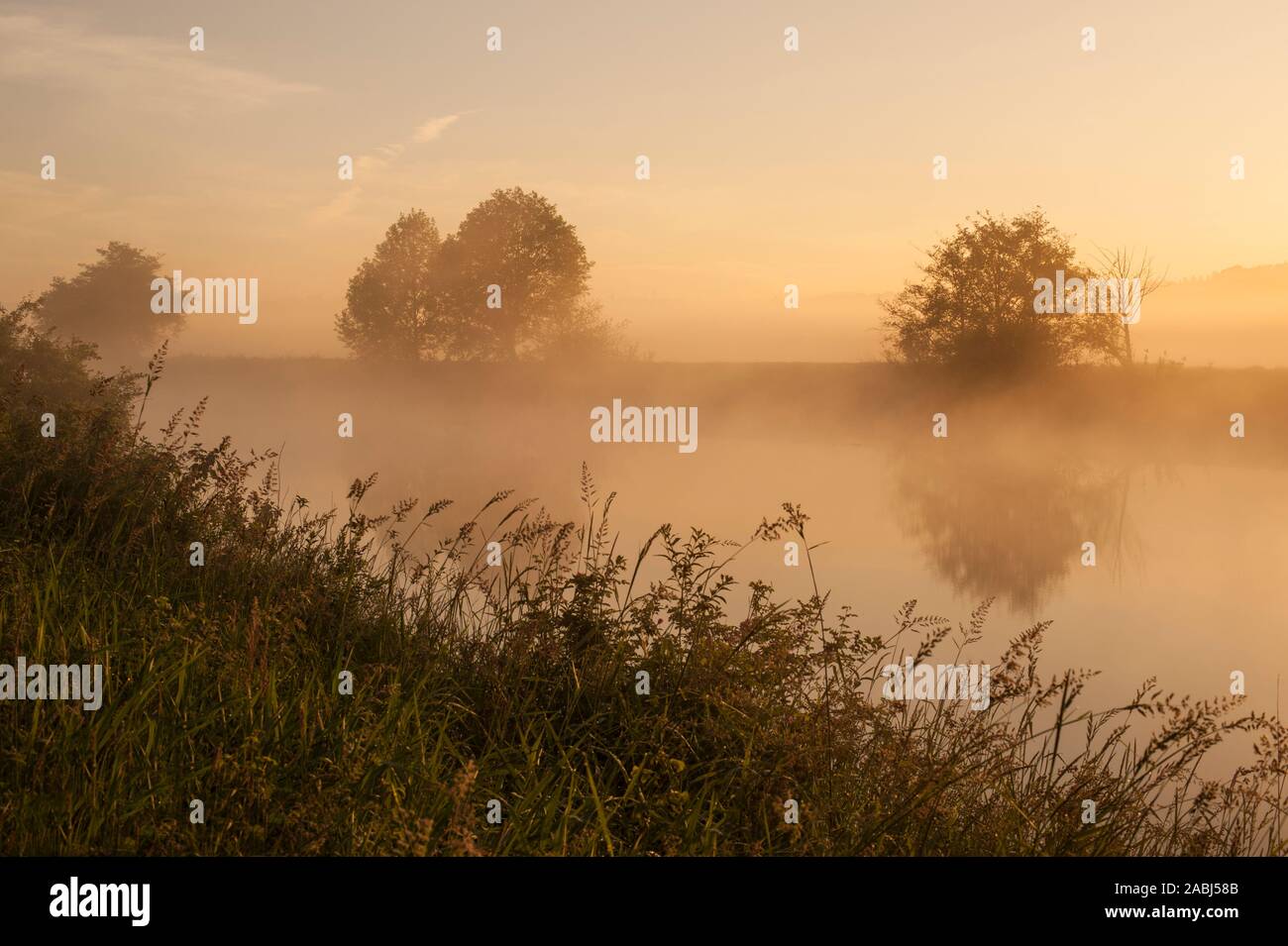 Snohomish Valley sunrise nella nebbia con riflessi nel fiume calmo con erba alta Foto Stock