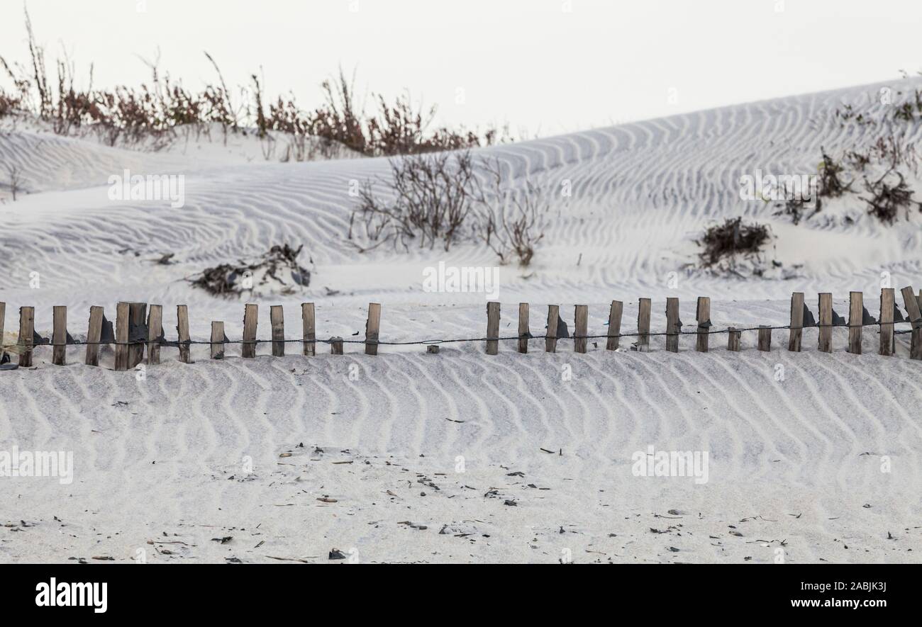Le dune di sabbia e una parzialmente sepolto recinto di sabbia sulla costa atlantica di Assateague Island, Maryland, Stati Uniti d'America. Assateague Island National Seashore. Foto Stock