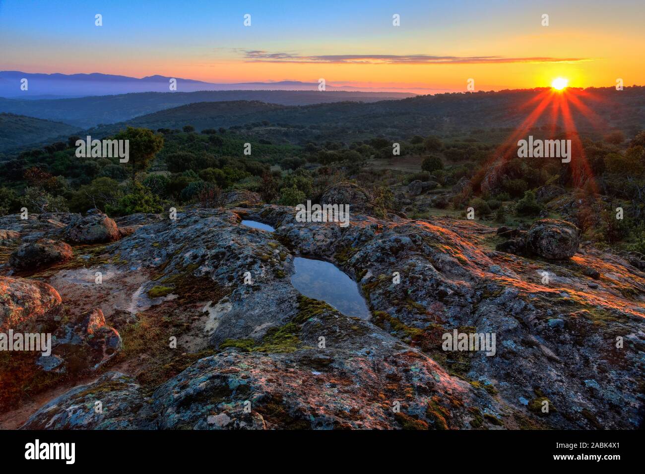 Tipico paesaggio della Sierra de Andujar National Park, Provincia di Jaen, Andalusia, Spagna all'alba, e qui vive il raro lince iberica Foto Stock