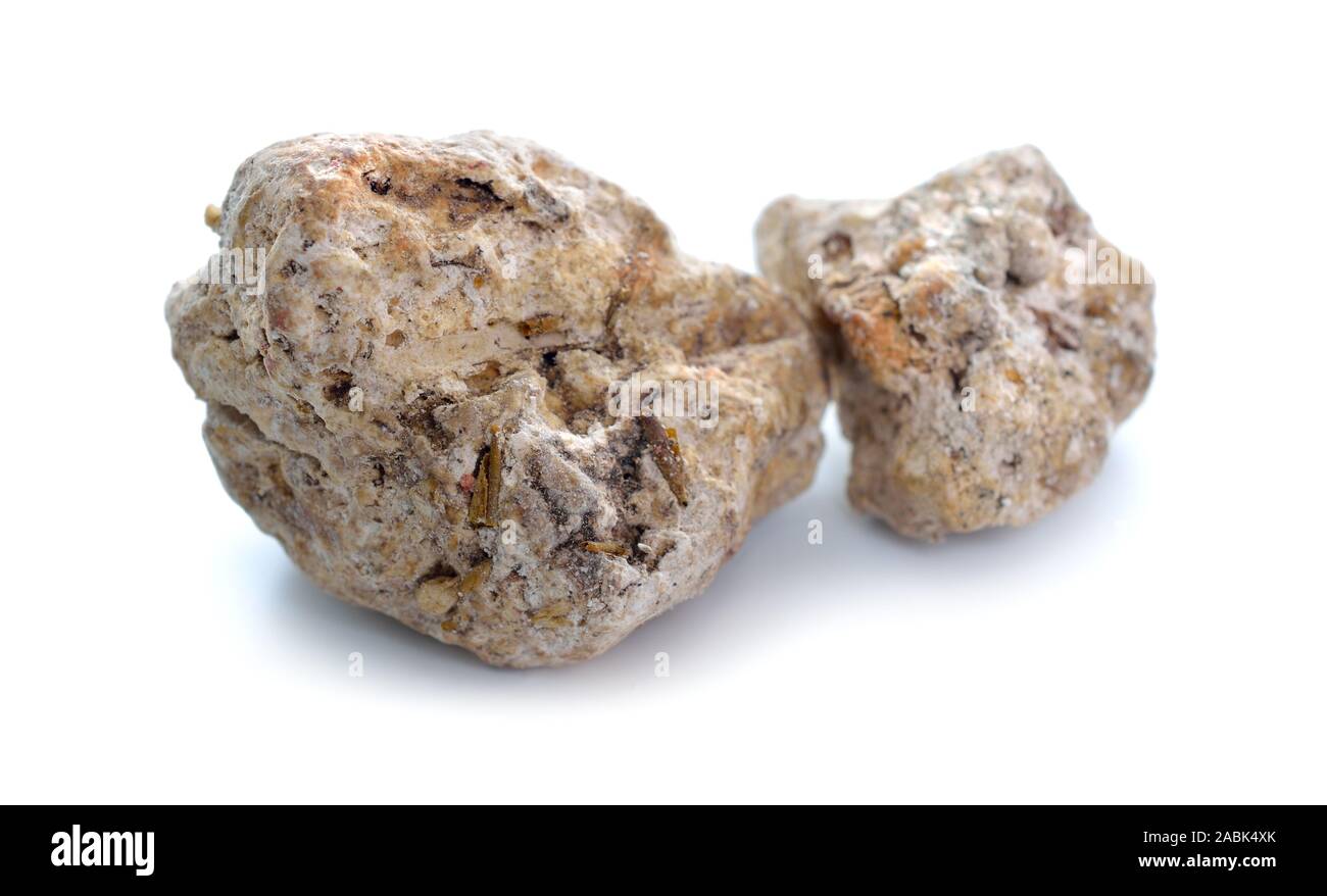 Ambergris, ambre gris, ambergrease o ambra grigia. Isolato su sfondo bianco Foto Stock