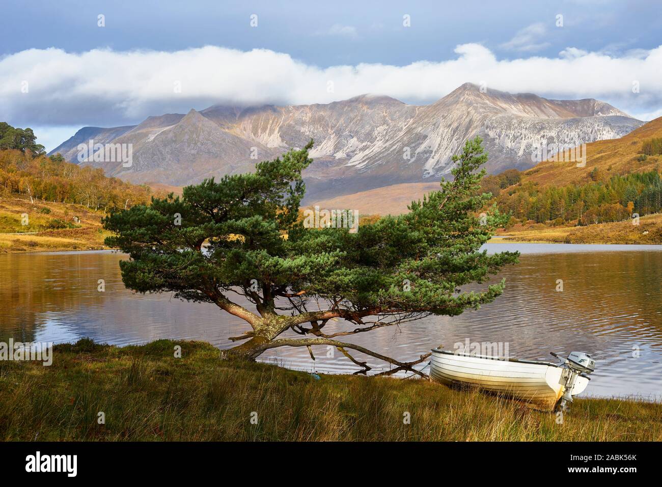 Piccola barca e di Pino silvestre Tree sulle rive di Loch Coulin, Torridon, Wester Ross, Highland, Scozia. Vista Beinn Eighe. Foto Stock