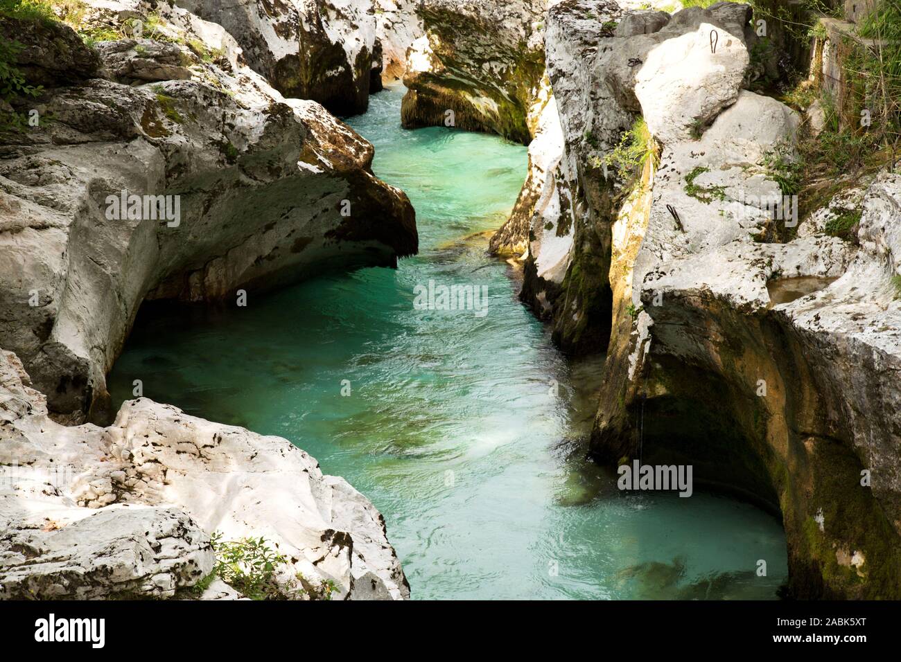 Parole chiave: fiume, soca, Slovenia, acqua, la natura, il verde paesaggio, bella, parco, montagna, nazionale, valley, turchese, Triglav, roccia, pietra, blu Foto Stock
