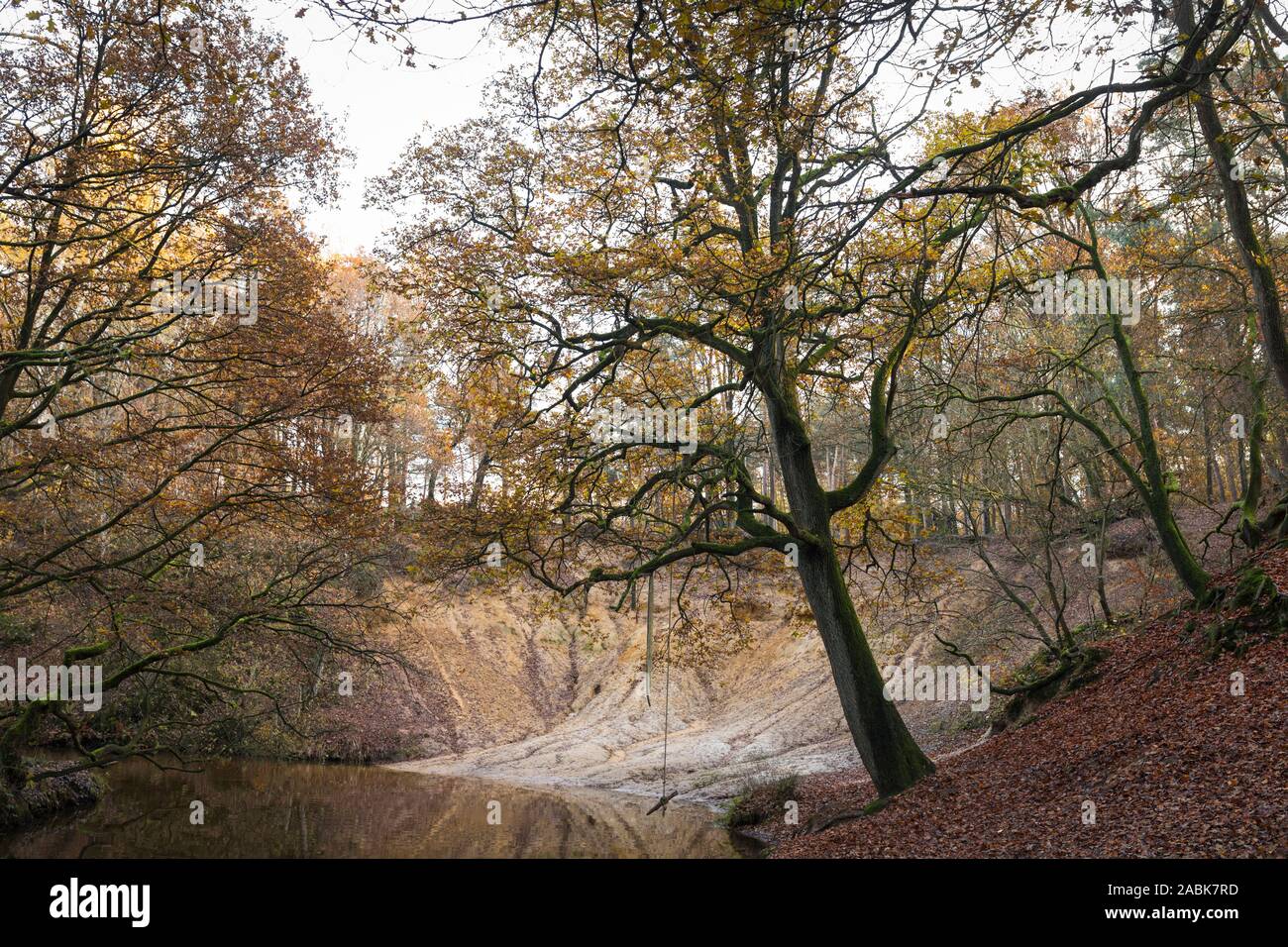 Il paesaggio della valle del flusso 'leudal' con alberi di quercia in autunno e serpeggianti streamlet Leubeek Nella bellissima Limburg, Paesi Bassi Foto Stock
