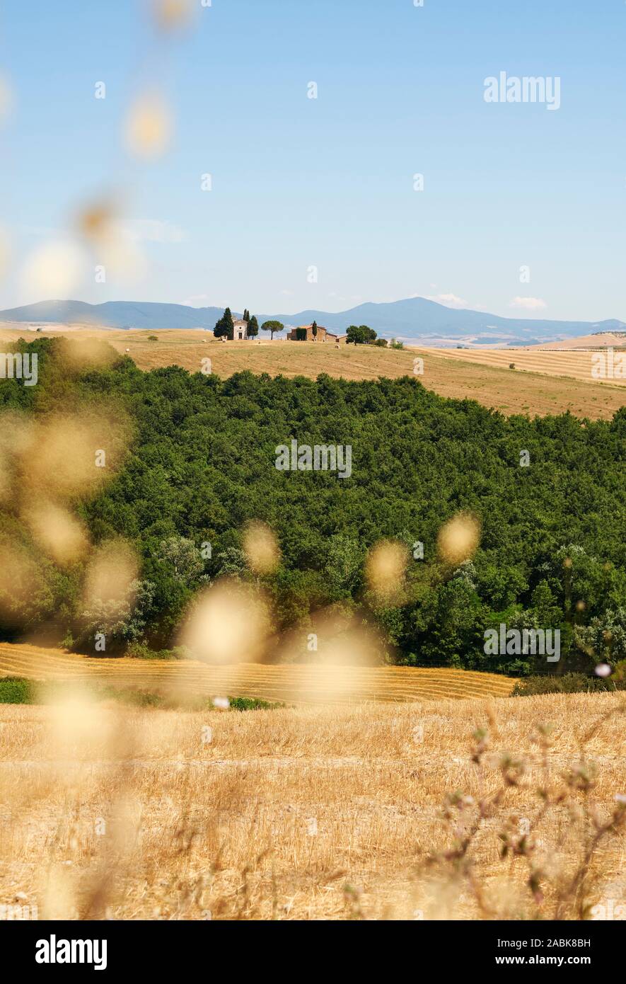 Una vista in lontananza la cappella della Madonna di Vitaleta Capella e l'estate campagna Toscana paesaggio della Val d'Orcia, Pienza, Toscana, Italia Foto Stock