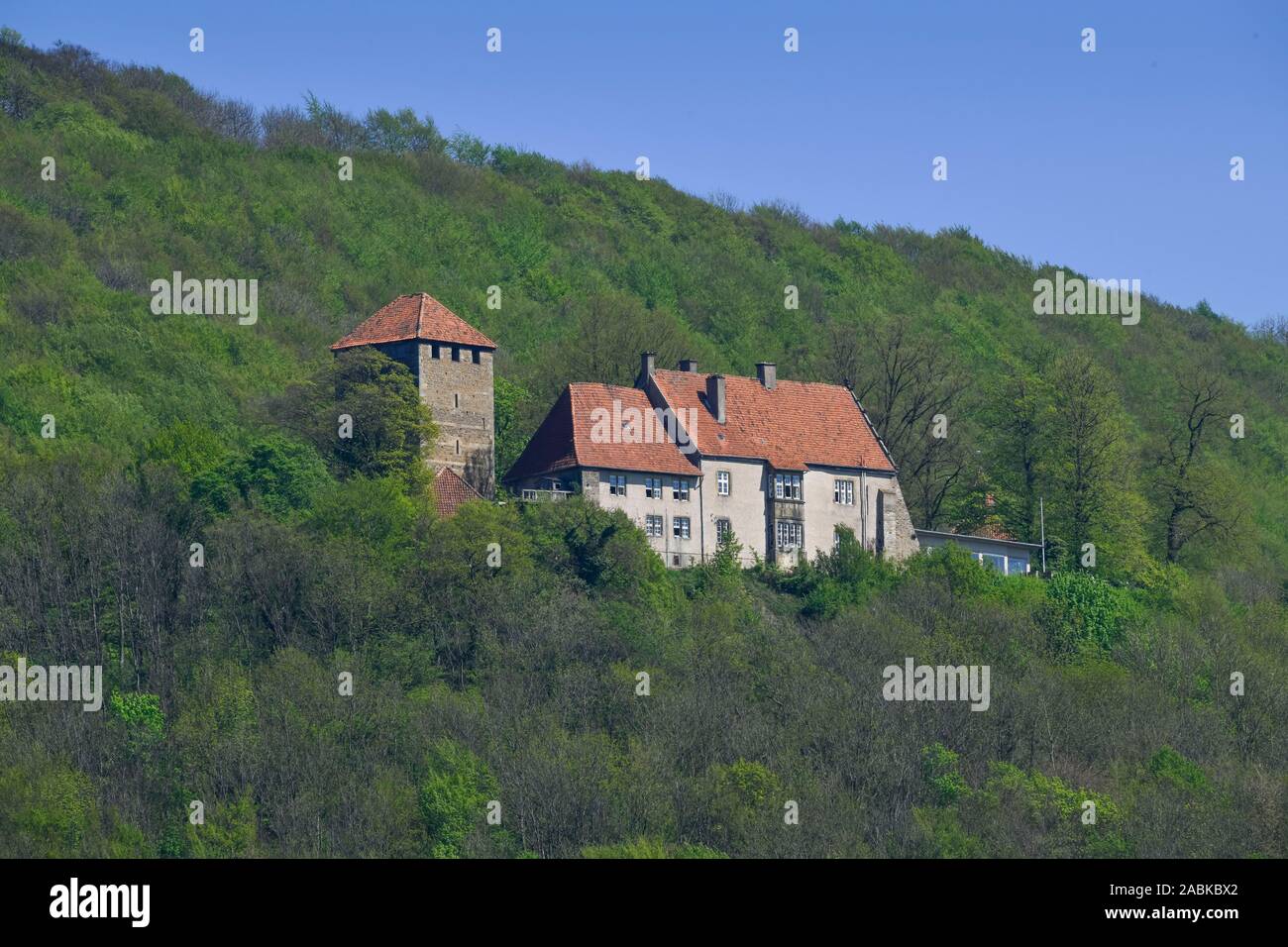 Burg Schaumburg, Rinteln, Weserbergland, Niedersachsen, Deutschland Foto Stock