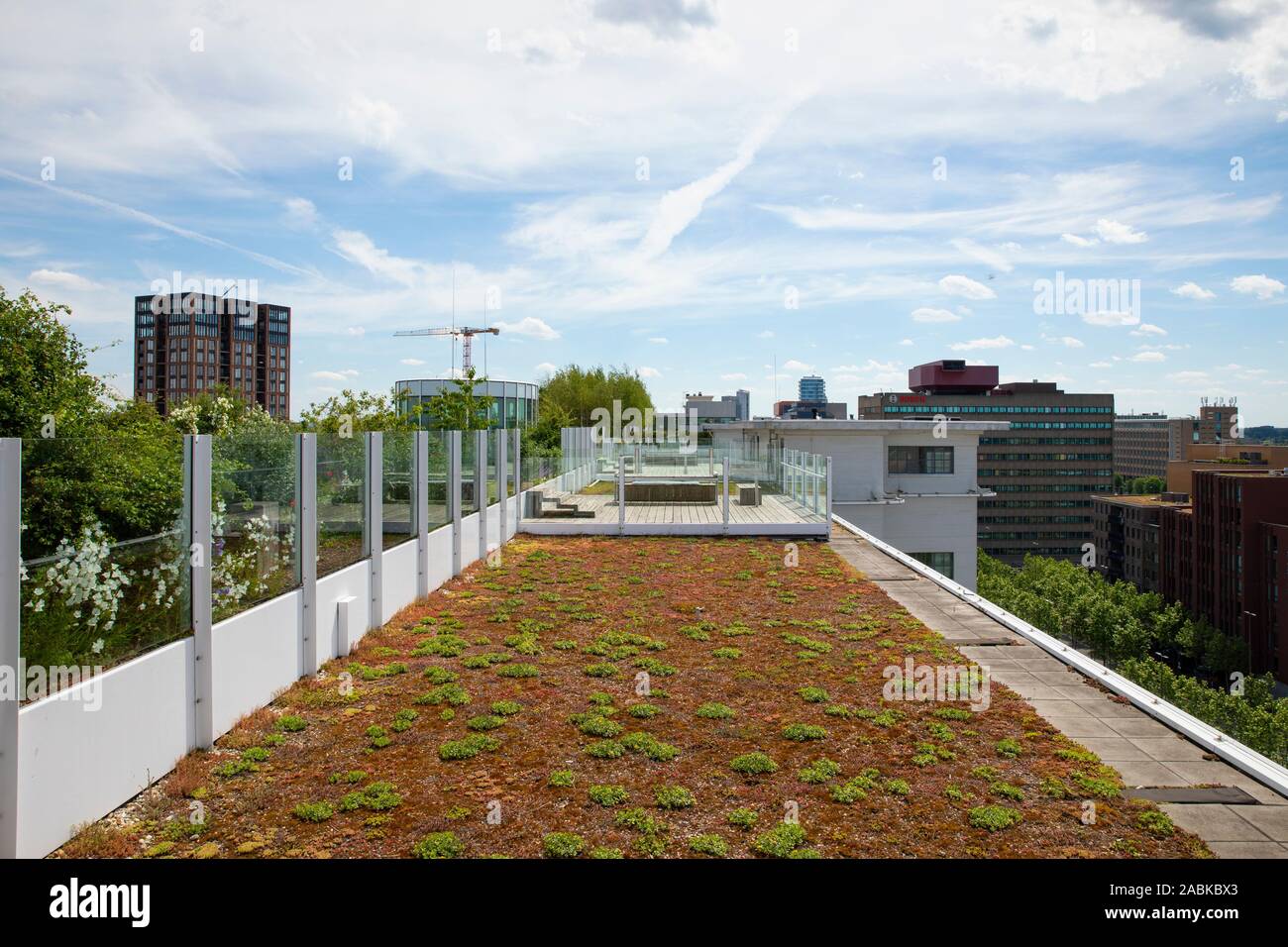 Eindhoven, Paesi Bassi, 2 giugno 2019. Una vista del giardino sul tetto dell'ex fabbriche di Philips che sono trasformate in city loft durante una Foto Stock