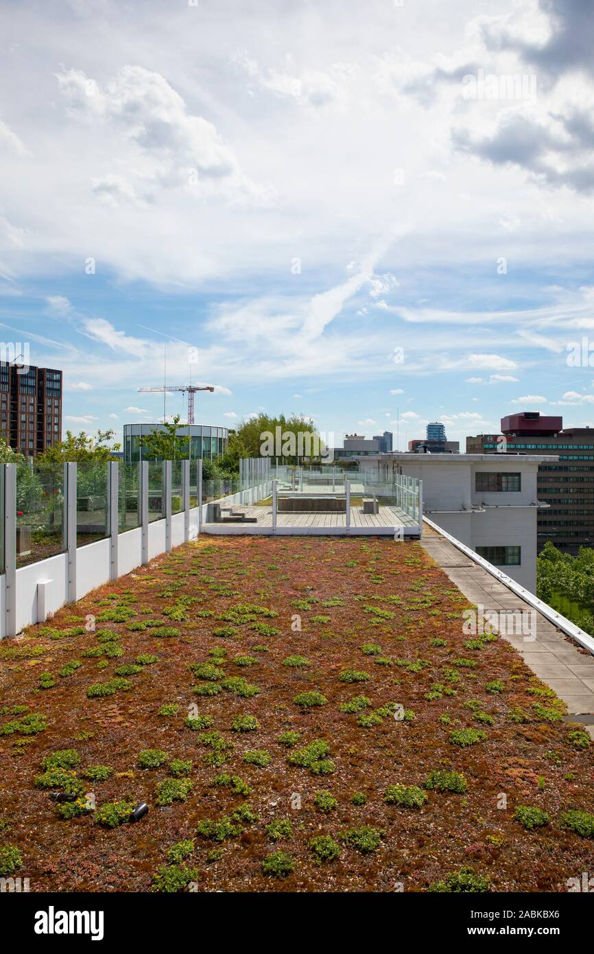 Eindhoven, Paesi Bassi, 2 giugno 2019. Una vista del giardino sul tetto dell'ex fabbriche di Philips che sono trasformate in city loft durante una Foto Stock