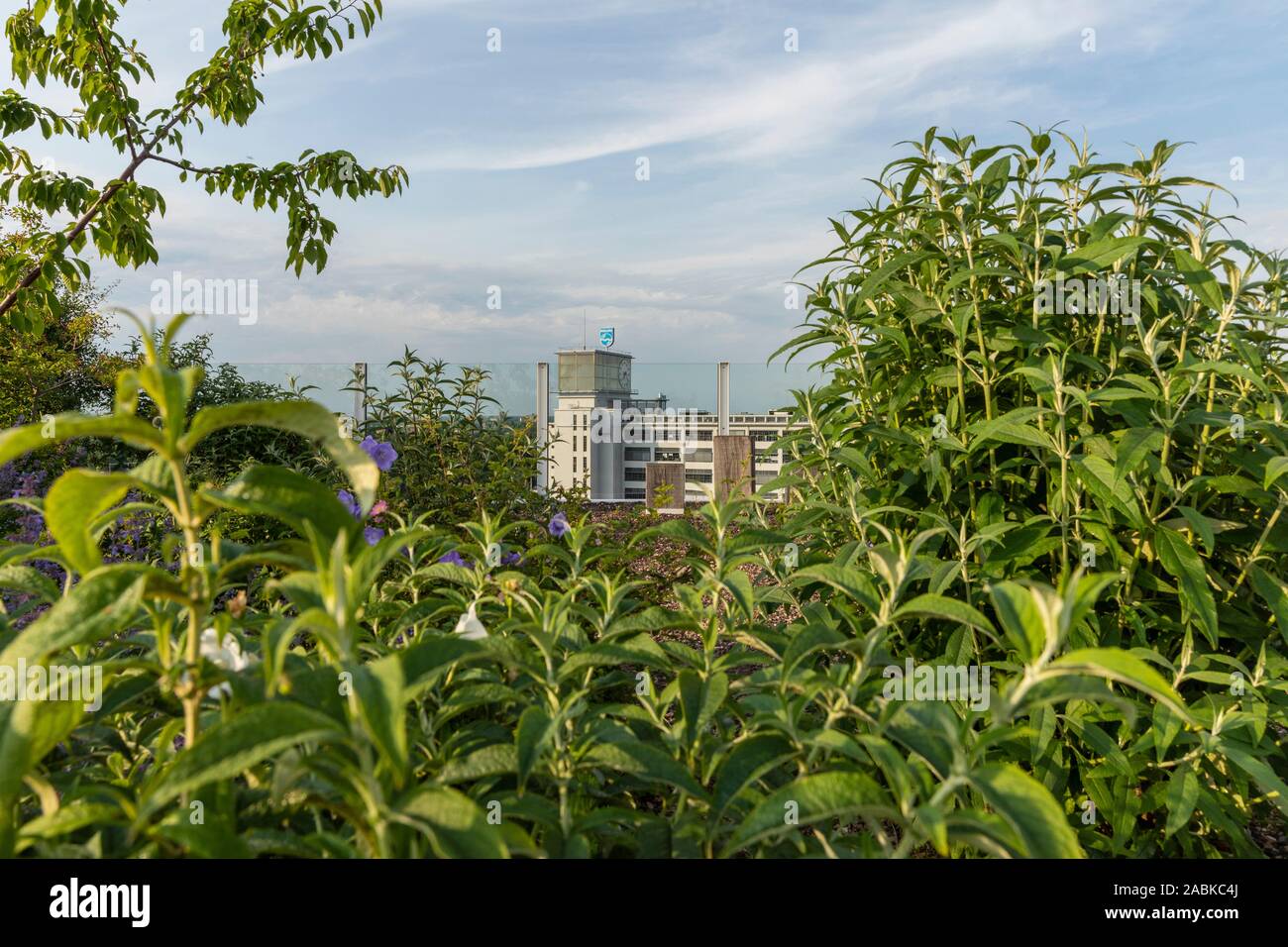 Eindhoven, Paesi Bassi, 4 giugno 2019. Vista dal giardino del tetto con un sacco di verde a Strijp S al vecchio edificio philips klokgebouw con Foto Stock