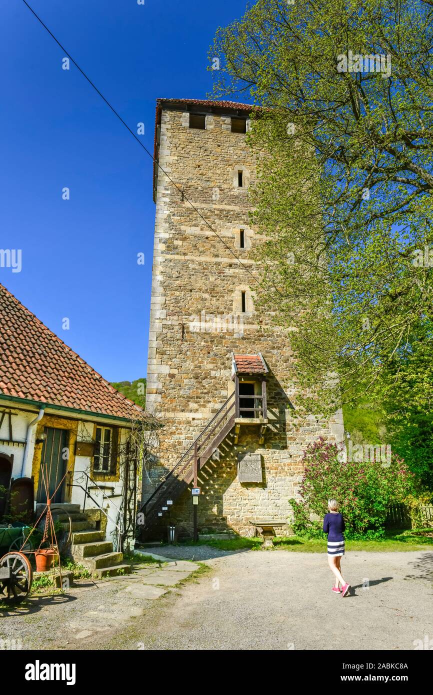Bergfried, Burg Schaumburg, Rinteln, Weserbergland, Niedersachsen, Deutschland Foto Stock