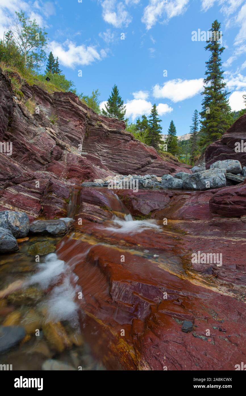 Flusso scorre attraverso la roccia ferruginosa, il Red Rock Canyon, il Parco Nazionale dei laghi di Waterton, Alberta, Canada Foto Stock