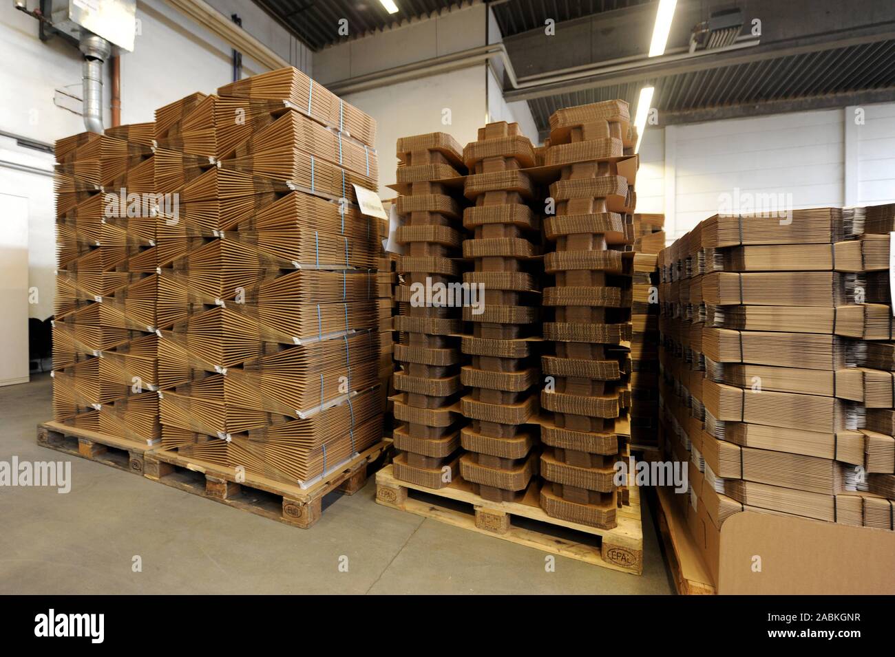 La società 'Drei V Verpackungen' produce imballaggi in plastica senza materiale di riempimento migliore e più sostenibile. [Traduzione automatizzata] Foto Stock