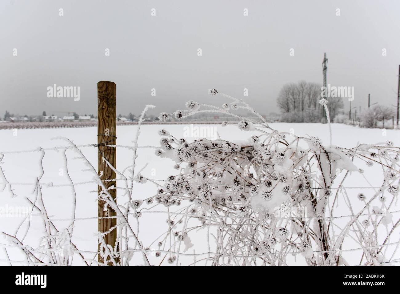 Coperte di neve paesaggio invernale sulla periferia nord-est di Monaco di Baviera tra Daglfing, Englschalking Johanniskirchen e. Nuove grandi aree residenziali sono di essere sviluppato in questa area sotto la parola chiave "lo sviluppo urbano misurare northeast" (SEM nord-est). [Traduzione automatizzata] Foto Stock